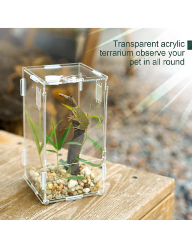 Tanque Mini Reptil Acrílico BETAZOOER 10.16x10.16x20.32cm