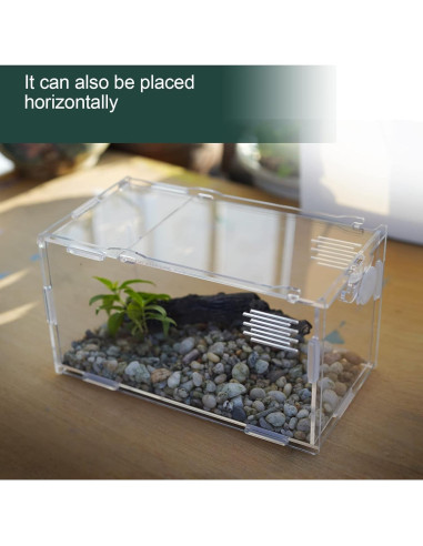 Tanque Mini Reptil Acrílico BETAZOOER 10.16x10.16x20.32cm