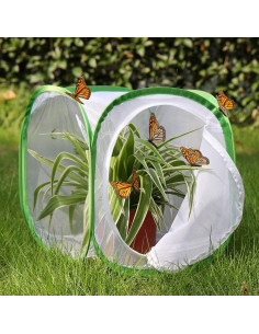 Jaula de Hábitat para Mariposas RESTCLOUD 30.48 cm Plegable 2