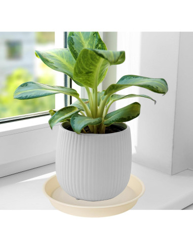 Paquete de 6 bandejas para plantas Bleuhome 10.16 cm beige