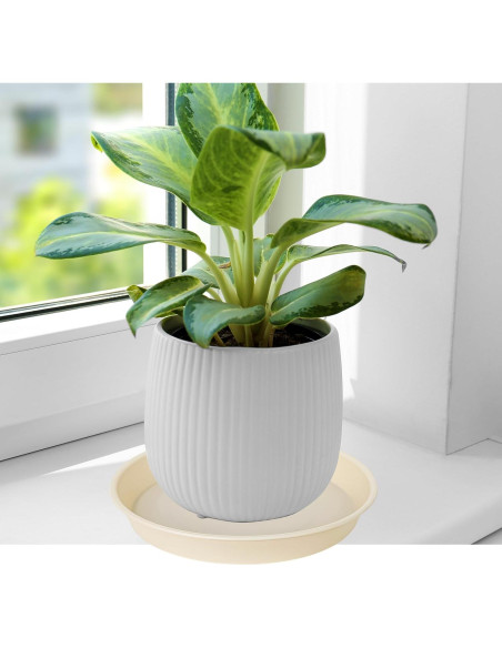 Paquete de 6 bandejas para plantas Bleuhome 10.16 cm beige