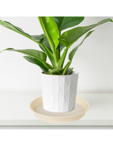 Paquete de 6 bandejas para plantas Bleuhome 10.16 cm beige