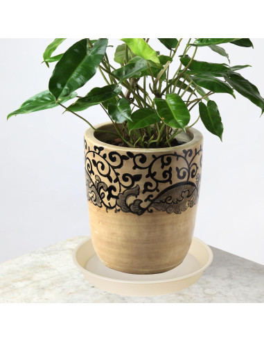 Paquete de 6 bandejas para plantas Bleuhome 10.16 cm beige