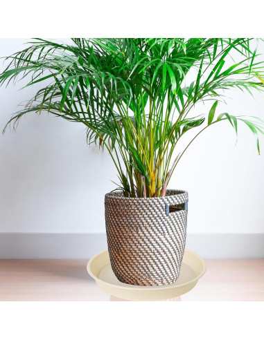 Paquete de 6 bandejas para plantas Bleuhome 10.16 cm beige