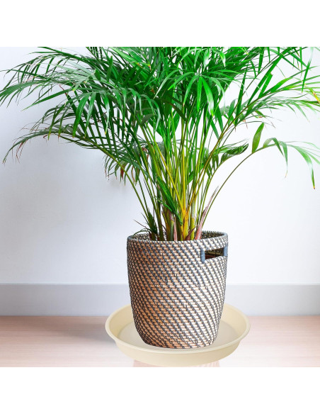 Paquete de 6 bandejas para plantas Bleuhome 10.16 cm beige