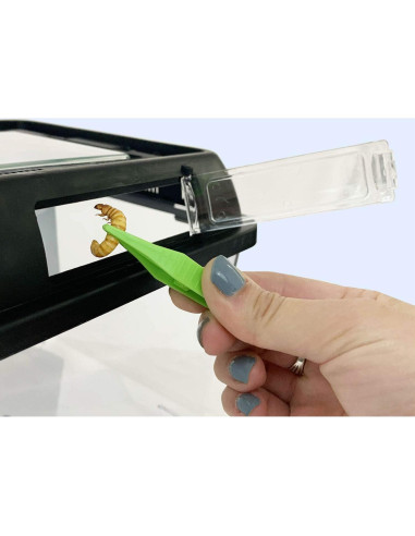 Hábito Feliz Terrario Estándar Exotic Nutrition 20x20 cm