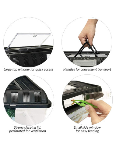 Hábito Feliz Terrario Estándar Exotic Nutrition 20x20 cm