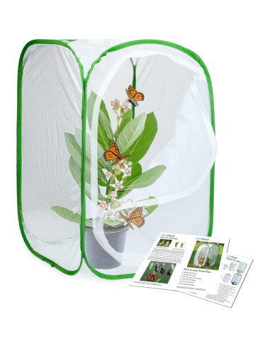 Terrario Profesional para Mariposas Restcloud - 3 Unidades 39.9x39.9x60 cm