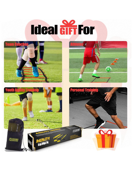 Escalera de Agilidad POWER GUIDANCE 6.1m con Conos y Bolsa