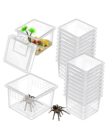 20 Cajas de Cría para Insectos y Reptiles Nuanchu 6.5x6.5x4.5cm