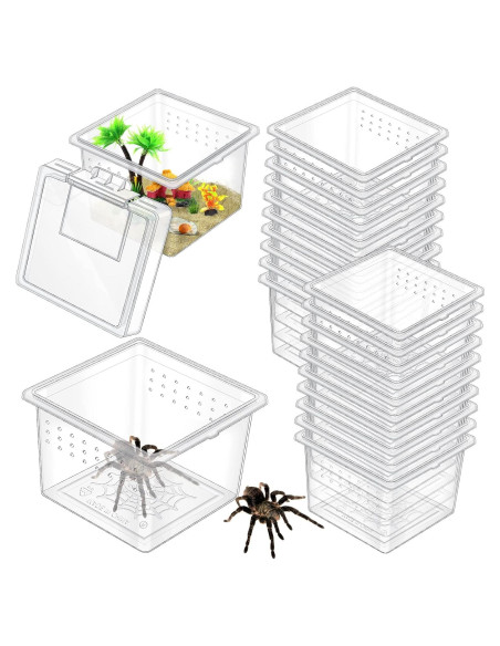 20 Cajas de Cría para Insectos y Reptiles Nuanchu 6.5x6.5x4.5cm