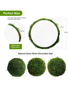 Bolas Decorativas de Musgo Verde Natural Hommtina 8.9 cm - Juego de 6 2