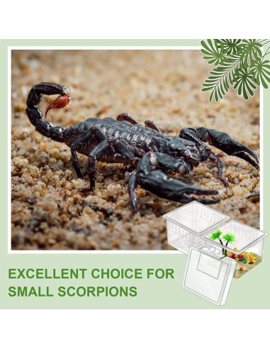 20 Cajas de Cría para Insectos y Reptiles Nuanchu 6.5x6.5x4.5cm