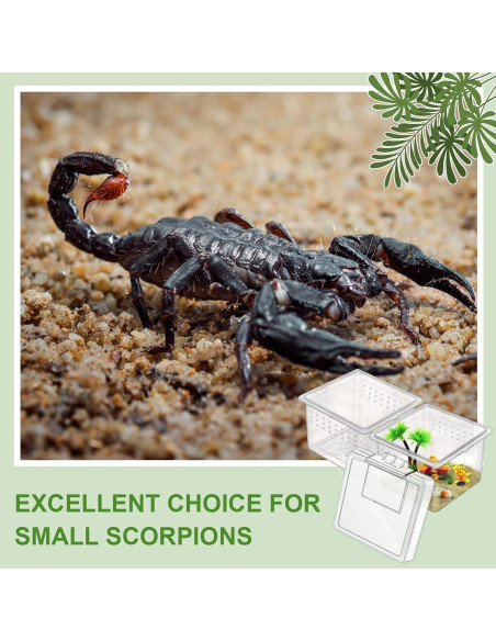 20 Cajas de Cría para Insectos y Reptiles Nuanchu 6.5x6.5x4.5cm