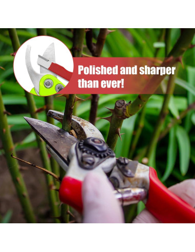 Afilador de Cuchillas de Bolsillo PEUTIER - 2 Piezas 12.5cm