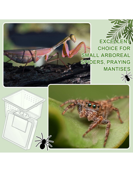 20 Cajas de Cría para Insectos y Reptiles Nuanchu 6.5x6.5x4.5cm