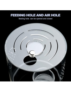 Kit de Inicio Enclosure Araña Saltadora LEOYULAND 15.24x10.16cm 2