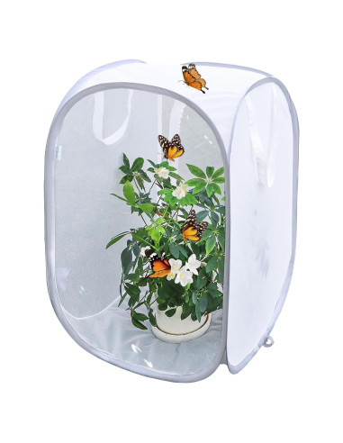 Cápsula de Hábitat para Mariposas GD - 40.64x40.64x60.96 cm