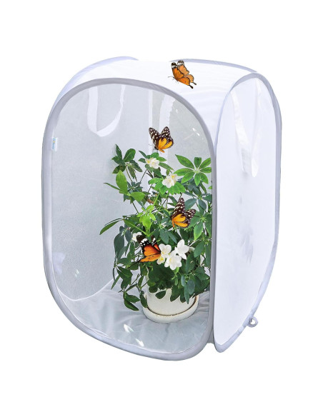 Cápsula de Hábitat para Mariposas GD - 40.64x40.64x60.96 cm