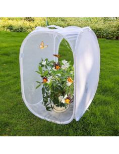 Cápsula de Hábitat para Mariposas GD - 40.64x40.64x60.96 cm 2