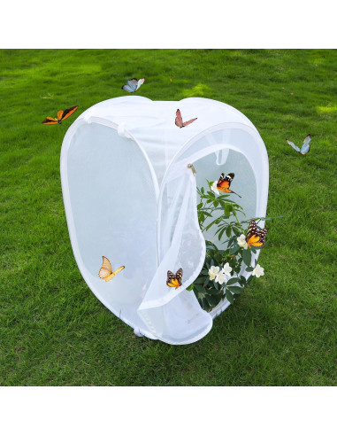 Cápsula de Hábitat para Mariposas GD - 40.64x40.64x60.96 cm
