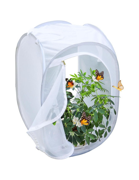 Cápsula de Hábitat para Mariposas GD - 40.64x40.64x60.96 cm