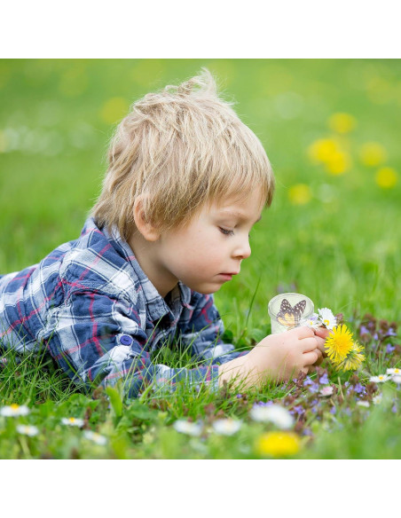 30 Contenedores de Insectos con Lupa YouHaozhai - 2.99 cm