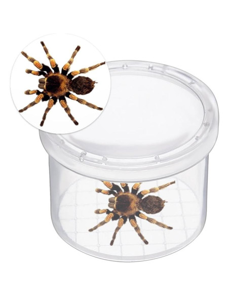 Caja de Insectos Aumentadora Lamilla - 12 Tarros para Exploración