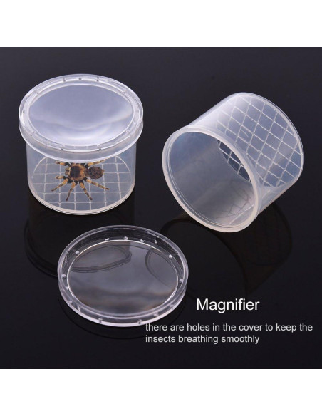 Caja de Insectos Aumentadora Lamilla - 12 Tarros para Exploración