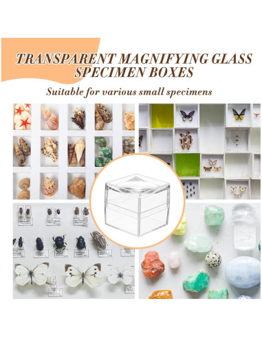 Paquete de 10 cajas de aumento 4x4 cm DoubleFill para colecciones