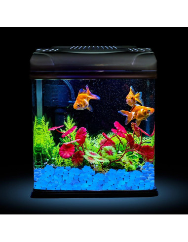 Piedras Brillantes en la Oscuridad NAMTSO 500 Piezas Azul