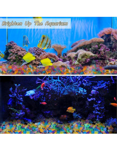 Piedras Brillantes en la Oscuridad Kaiyuan Dinastía 100pc 2