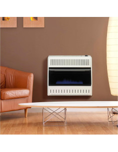 Calentador de Gas Natural ProCom MN300HBA-B 30,000 BTU 2