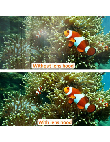 Funda de lente Easy Hood 50mm para cámaras Nikon Canon Sony