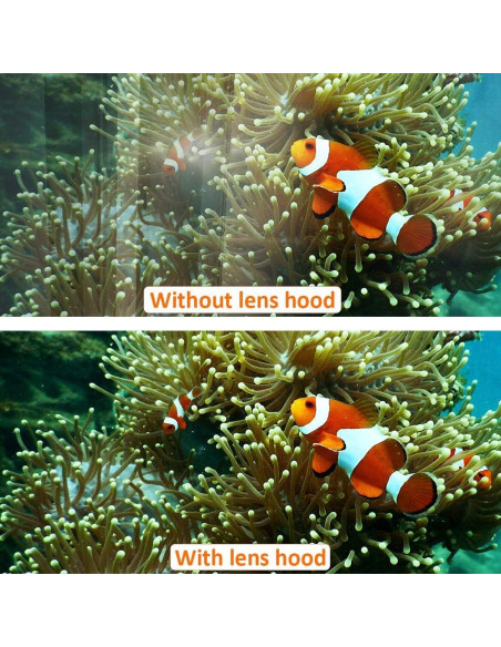 Funda de lente Easy Hood 50mm para cámaras Nikon Canon Sony