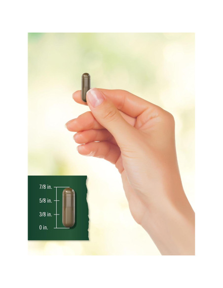 Cápsulas Super Frutas y Verduras Tahoe Nutritionals 90 Unidades