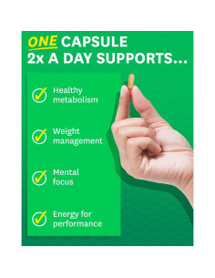 Extracto de Té Verde Zenwise Health 120 Cápsulas Veganas 2