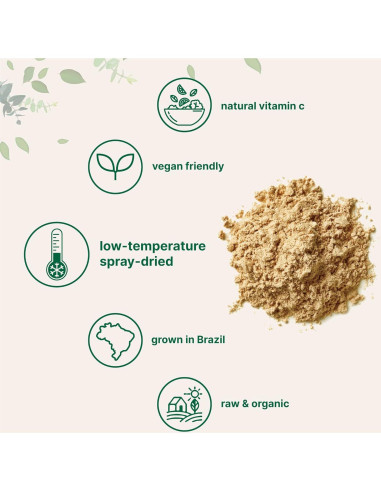 Paquete de 2 Polvo de Cereza Acerola Orgánica Micro Ingredients 226g