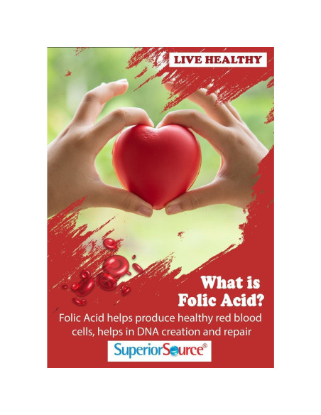 Suplemento Vitaminas B Superior Source B-12 B-6 Ácido Fólico 60 Tabletas Suplemento Vitaminas B Superior Source B-12 B-6 Ácido Fólico 60 Tabletas