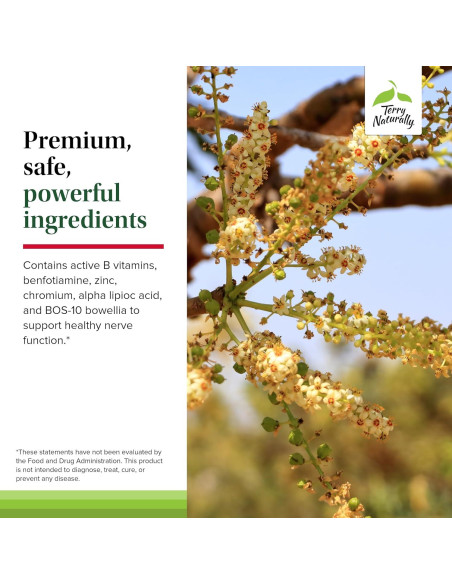 Suplemento Herbal Terry Naturally Pies y Nervios Saludables - 120 Cápsulas Veganas con Vitamina B12 y Boswellia