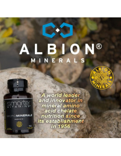 Suplemento de Zinc 15mg SmarterVitamins 90 Cápsulas Veganas 2