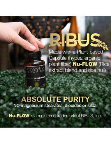 Suplemento de Zinc 15mg SmarterVitamins 90 Cápsulas Veganas