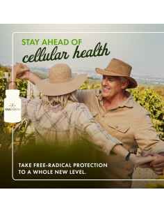 Cereza de Café Swanson 60 Cápsulas 200mg Antioxidantes 2