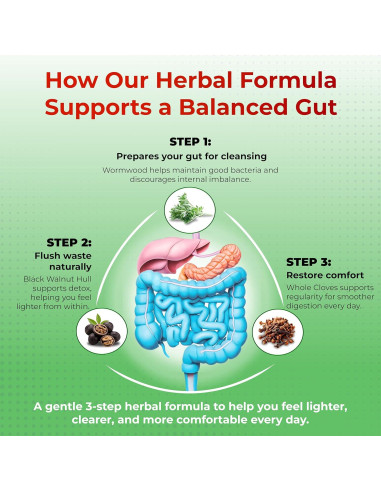 Suplemento Digestivo Ajenjo PeakPury 150 Cápsulas 150g