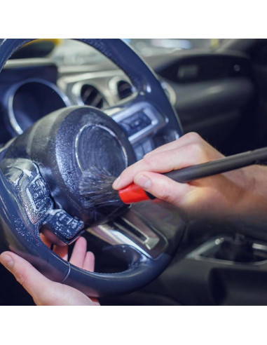 Juego de Cepillos para Detallar Autos Coltree 5 Pzs Suaves