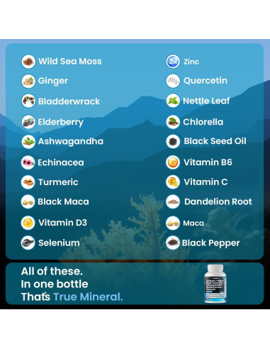 Suplemento Vitamínico Vitamax 60ct - Miel de Manuka, No OGM, Vegano