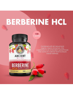 Suplemento de Berberina HCL 1200mg Fame Health Labs 2