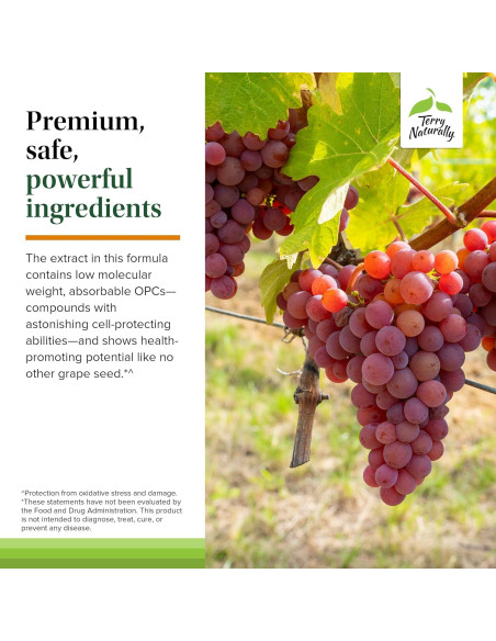 Suplemento de Cúrcuma Terry Naturally CuraMed 60 Gelatinas