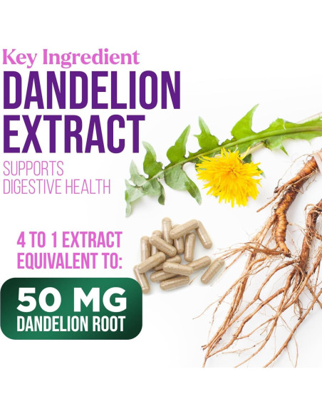 Extracto de Cardo Mariano 1000mg - Suplemento Herbal 120 Cápsulas Extracto de Cardo Mariano 1000mg - Suplemento Herbal 120 Cápsulas