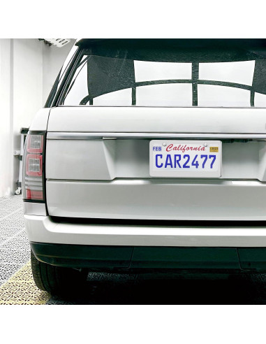 Paquete de 2 Marcos de Placas de Licencia Lengnoy Plateados